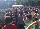blackberry lollapalooza 186 : blackberry_lollapalooza